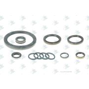 Комплект сальников КПП ZF 16S151181221251 Euroricambi