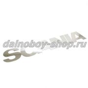 Накладки на буквы SCANIA (2004-2009, нашлепка 110*700) INOX