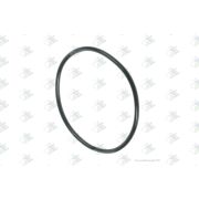 Кольцо уплотнительное 63*3 ZF 16S151/16S221 Euroricambi