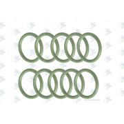 Кольцо уплотнительное масляного насоса Volvo/Renault (d22х3) Euroricambi