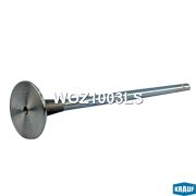 Клапан выпускной RVI Premium dCi11 MAHLE