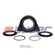 Подшипник подвесной D=100 mm MAN L/M2000/Iveco AUGER
