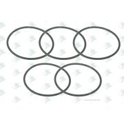 Кольцо уплотнительное КПП 82*4 16S151 EURORICAMBI