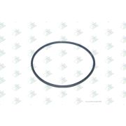 Кольцо уплотнительное цилиндра КПП MAN/DAF 16S151/181/221 Euroricambi