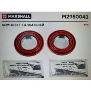 Ремкомплект суппорта BPW TS2 (пыльники+смазка) Marshall